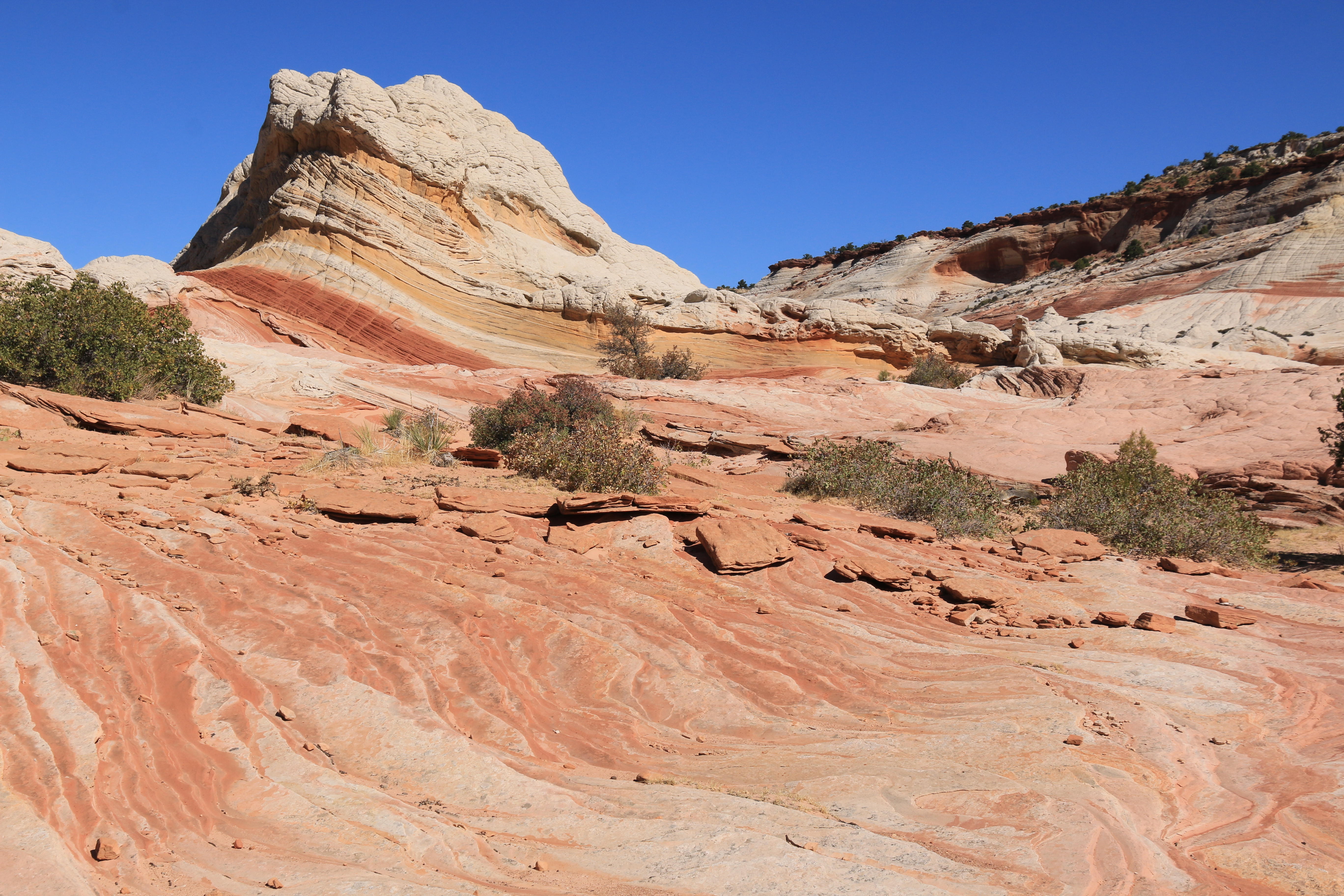 Vermillion Cliffs NM